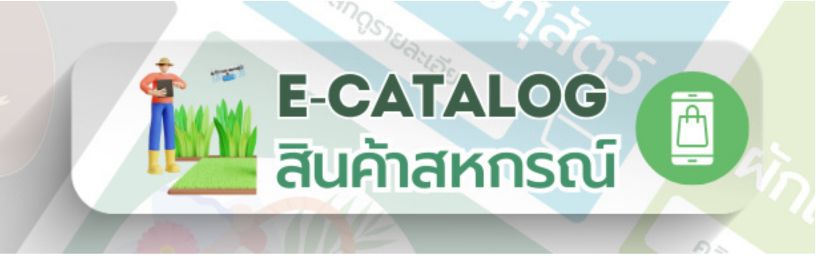 E-catalog