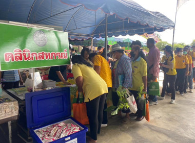 โครงการคลินิคเกษตรเคลื่อนที่ในพระราชานุเคราะห์ ... พารามิเตอร์รูปภาพ 7