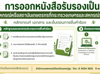 infographic ของหน่วยงาน พารามิเตอร์รูปภาพ 1