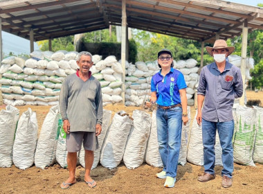 ตรวจสอบข้อมูลปริมาณน้ำนมดิบและจำนวนโคทั้งหมดในฟาร์มของเกษตรกรในเขตพื้นที่ตำบลทุ่งลูกนก อำเภอกำแพงแสน ... พารามิเตอร์รูปภาพ 6