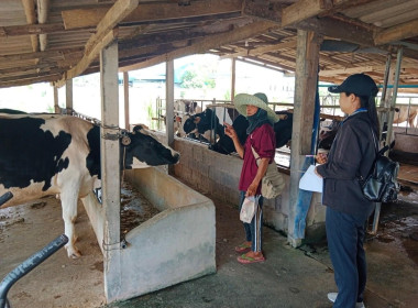 ตรวจสอบข้อมูลปริมาณน้ำนมดิบและจำนวนโคทั้งหมดในฟาร์มของเกษตรกรในเขตพื้นที่ตำบลทุ่งลูกนก อำเภอกำแพงแสน ... พารามิเตอร์รูปภาพ 14