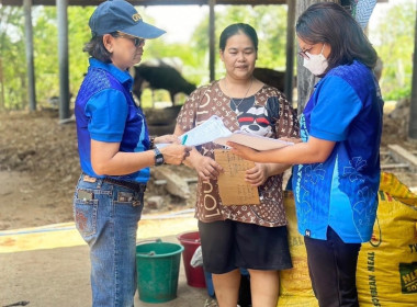 ตรวจสอบข้อมูลปริมาณน้ำนมดิบและจำนวนโคทั้งหมดในฟาร์มของเกษตรกรในเขตพื้นที่ตำบลทุ่งลูกนก อำเภอกำแพงแสน ... พารามิเตอร์รูปภาพ 27