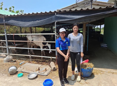 ตรวจสอบข้อมูลปริมาณน้ำนมดิบและจำนวนโคทั้งหมดในฟาร์มของเกษตรกรในเขตพื้นที่ตำบลทุ่งลูกนก อำเภอกำแพงแสน ... พารามิเตอร์รูปภาพ 31