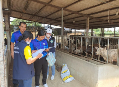 ตรวจสอบข้อมูลปริมาณน้ำนมดิบและจำนวนโคทั้งหมดในฟาร์มของเกษตรกรในเขตพื้นที่ตำบลทุ่งลูกนก อำเภอกำแพงแสน ... พารามิเตอร์รูปภาพ 34