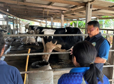 ตรวจสอบข้อมูลปริมาณน้ำนมดิบและจำนวนโคทั้งหมดในฟาร์มของเกษตรกรในเขตพื้นที่ตำบลทุ่งลูกนก อำเภอกำแพงแสน ... พารามิเตอร์รูปภาพ 36