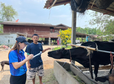 ตรวจสอบข้อมูลปริมาณน้ำนมดิบและจำนวนโคทั้งหมดในฟาร์มของเกษตรกรในเขตพื้นที่ตำบลทุ่งลูกนก อำเภอกำแพงแสน ... พารามิเตอร์รูปภาพ 2