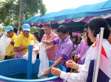 พิธีปล่อยพันธุ์สัตว์น้ำเนื่องในวันเฉลิมพระชนมพรรษาสมเด็จพระนางเจ้าสุทิดา พัชรสุธาพิมลลักษณ พระบรมราชินี ... พารามิเตอร์รูปภาพ 10