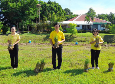 โครงการรณรงค์ปลูกหญ้าแฝกเฉลิมพระเกียรติพระบาทสมเด็จพระเจ้าอยู่หัว เนื่องในโอกาสมหามงคลเฉลิมพระชนมพรรษา ... พารามิเตอร์รูปภาพ 6