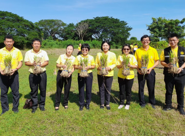 โครงการรณรงค์ปลูกหญ้าแฝกเฉลิมพระเกียรติพระบาทสมเด็จพระเจ้าอยู่หัว เนื่องในโอกาสมหามงคลเฉลิมพระชนมพรรษา ... พารามิเตอร์รูปภาพ 8