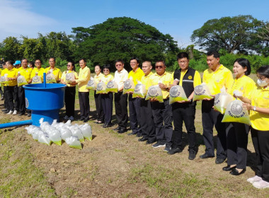 โครงการรณรงค์ปลูกหญ้าแฝกเฉลิมพระเกียรติพระบาทสมเด็จพระเจ้าอยู่หัว เนื่องในโอกาสมหามงคลเฉลิมพระชนมพรรษา ... พารามิเตอร์รูปภาพ 9