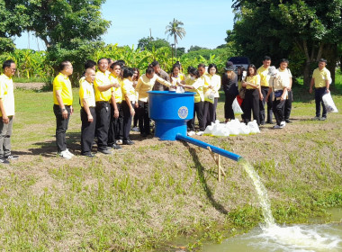 โครงการรณรงค์ปลูกหญ้าแฝกเฉลิมพระเกียรติพระบาทสมเด็จพระเจ้าอยู่หัว เนื่องในโอกาสมหามงคลเฉลิมพระชนมพรรษา ... พารามิเตอร์รูปภาพ 11