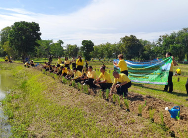 โครงการรณรงค์ปลูกหญ้าแฝกเฉลิมพระเกียรติพระบาทสมเด็จพระเจ้าอยู่หัว เนื่องในโอกาสมหามงคลเฉลิมพระชนมพรรษา ... พารามิเตอร์รูปภาพ 3