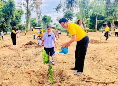 โครงการ 72 ล้านต้น พลิกฟื้นฝืนป่า ... พารามิเตอร์รูปภาพ 2