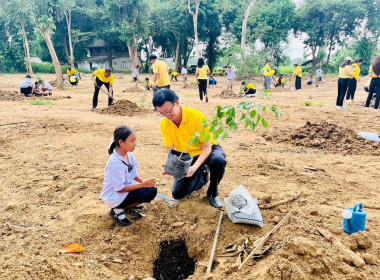 โครงการ 72 ล้านต้น พลิกฟื้นฝืนป่า ... พารามิเตอร์รูปภาพ 4