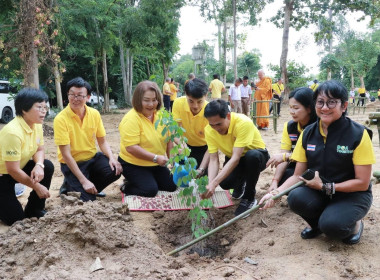 โครงการ 72 ล้านต้น พลิกฟื้นฝืนป่า ... พารามิเตอร์รูปภาพ 5