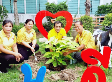 สำนักงานสหกรณ์จังหวัดนครปฐม ร่วมกับสหกรณ์โคนมนครปฐม จำกัด ... พารามิเตอร์รูปภาพ 31