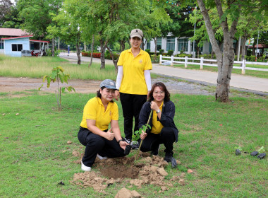 สำนักงานสหกรณ์จังหวัดนครปฐม ร่วมกับสหกรณ์โคนมนครปฐม จำกัด ... พารามิเตอร์รูปภาพ 5