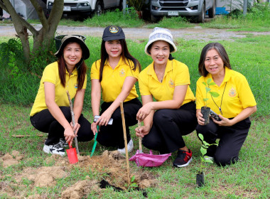 สำนักงานสหกรณ์จังหวัดนครปฐม ร่วมกับสหกรณ์โคนมนครปฐม จำกัด ... พารามิเตอร์รูปภาพ 16