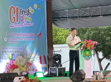 งานแสดงและจำหน่ายสินค้าเกษตรปลอดภัย ... พารามิเตอร์รูปภาพ 18
