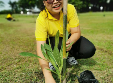 กิจกรรมปลูกป่าเฉลิมพระเกียรติพระบาทสมเด็จพระเจ้าอยู่หัว ... พารามิเตอร์รูปภาพ 10