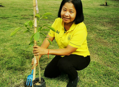 กิจกรรมปลูกป่าเฉลิมพระเกียรติพระบาทสมเด็จพระเจ้าอยู่หัว ... พารามิเตอร์รูปภาพ 3