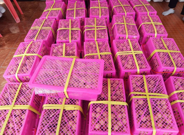 สำนักงานสหกรณ์จังหวัดนครปฐม ... พารามิเตอร์รูปภาพ 8