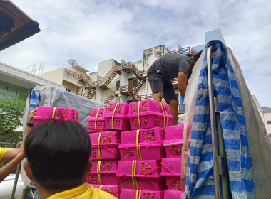 สำนักงานสหกรณ์จังหวัดนครปฐม ... พารามิเตอร์รูปภาพ 9