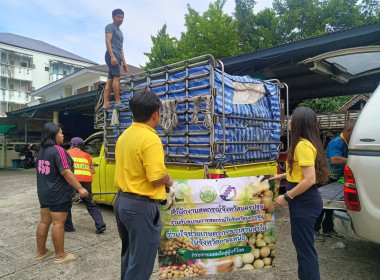 สำนักงานสหกรณ์จังหวัดนครปฐม ... พารามิเตอร์รูปภาพ 10