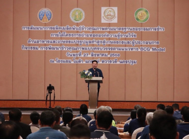 สัมมนาการผลิตเมล็ดพันธุ์ข้าวคุณภาพตามมาตรฐานของกรมการข้าว ... พารามิเตอร์รูปภาพ 14