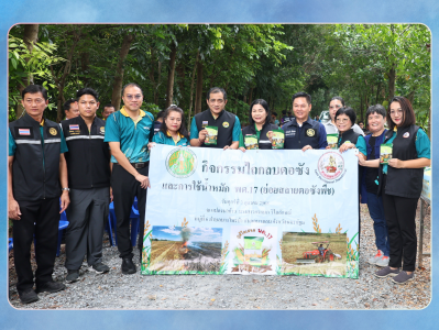 กิจกรรมไถกลบตอซังและการใช้น้ำหมักชีวภาพ พด.17 ... พารามิเตอร์รูปภาพ 1