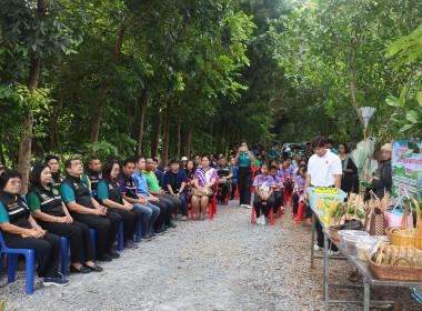 กิจกรรมไถกลบตอซังและการใช้น้ำหมักชีวภาพ พด.17 ... พารามิเตอร์รูปภาพ 2