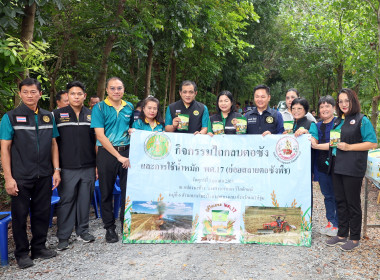 กิจกรรมไถกลบตอซังและการใช้น้ำหมักชีวภาพ พด.17 ... พารามิเตอร์รูปภาพ 5