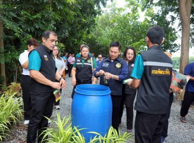 กิจกรรมไถกลบตอซังและการใช้น้ำหมักชีวภาพ พด.17 ... พารามิเตอร์รูปภาพ 7