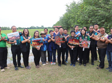 กิจกรรมไถกลบตอซังและการใช้น้ำหมักชีวภาพ พด.17 ... พารามิเตอร์รูปภาพ 12