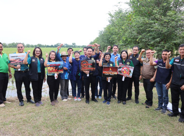 กิจกรรมไถกลบตอซังและการใช้น้ำหมักชีวภาพ พด.17 ... พารามิเตอร์รูปภาพ 13