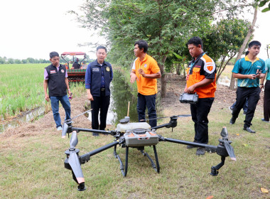 กิจกรรมไถกลบตอซังและการใช้น้ำหมักชีวภาพ พด.17 ... พารามิเตอร์รูปภาพ 14