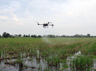 กิจกรรมไถกลบตอซังและการใช้น้ำหมักชีวภาพ พด.17 ... พารามิเตอร์รูปภาพ 18