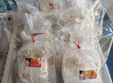 โครงการประชุมเชิงปฏิบัติการขับเคลื่อนผลิตภัณฑ์ชุมชนของสถาบันเกษตรกรและสมาชิก ประจำปีงบประมาณ พ.ศ.2569 ... พารามิเตอร์รูปภาพ 16