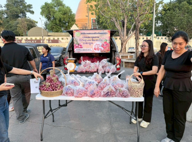 สหกรณ์จังหวัดนครปฐม ... พารามิเตอร์รูปภาพ 6